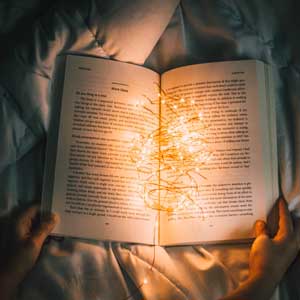 I read a couple hundred books a year